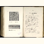 catalogue thumbnail