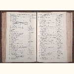 page thumbnail