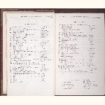 page thumbnail