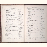 page thumbnail