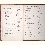 page thumbnail