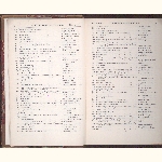 page thumbnail