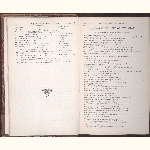 page thumbnail