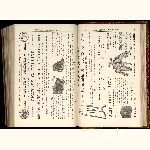 E87R007