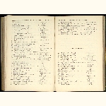 page thumbnail