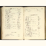 page thumbnail