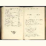 page thumbnail