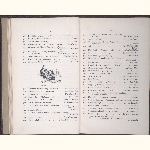 page thumbnail