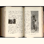 P01A151