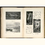 P02A163