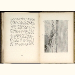 P02A177