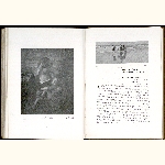 P03A135