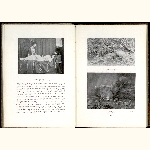 P04A063