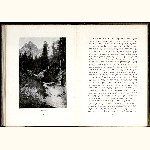 P04A131