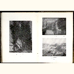 P04A141