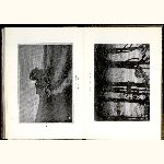 P04A149