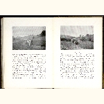 P04A151