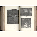 P08A037