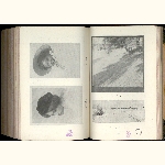 P08A119