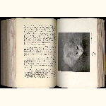 P11A017