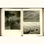 P13R065