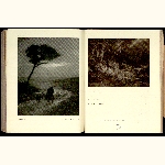 P13R083