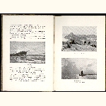 P96A015