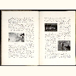 P96A027