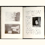 P96A033