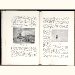 P97A017
