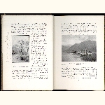 P97A019