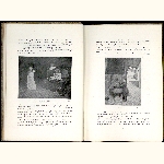 P98A015
