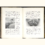 P98A061