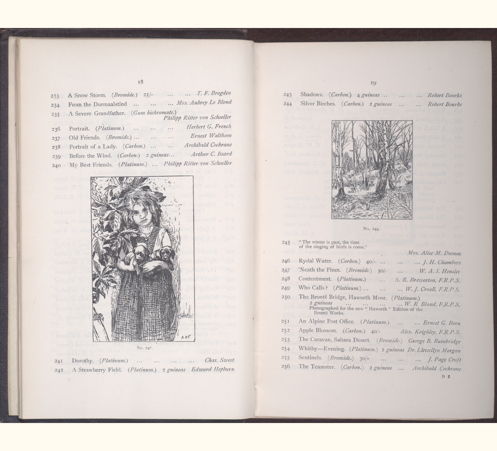 large scanned catalogue page