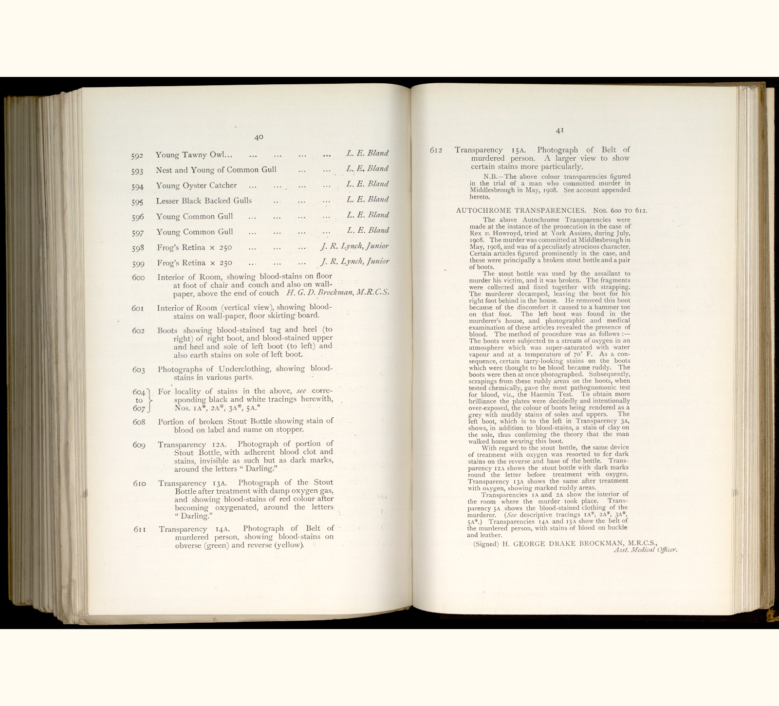 large scanned catalogue page