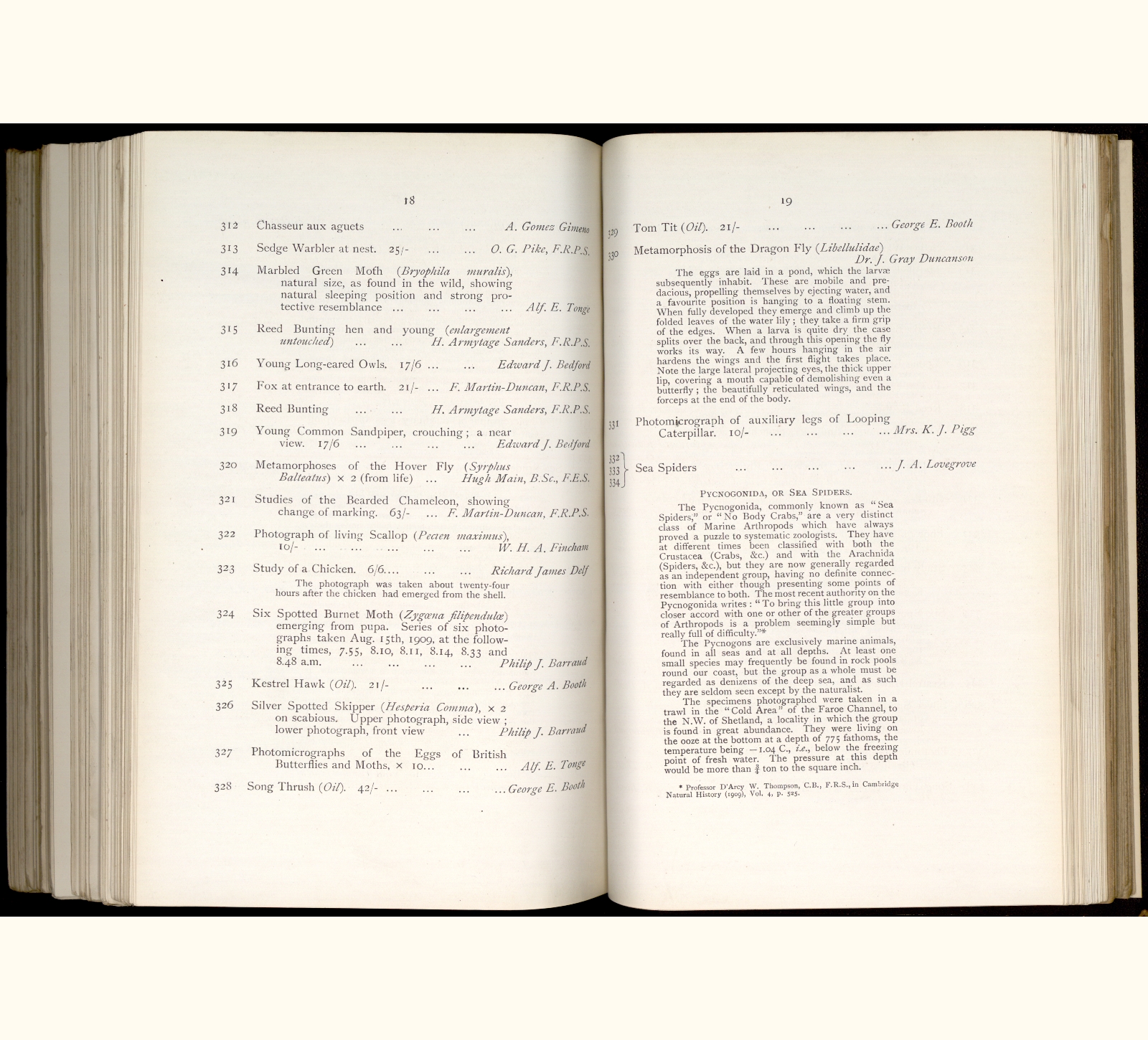 E09A019 large scanned catalogue page