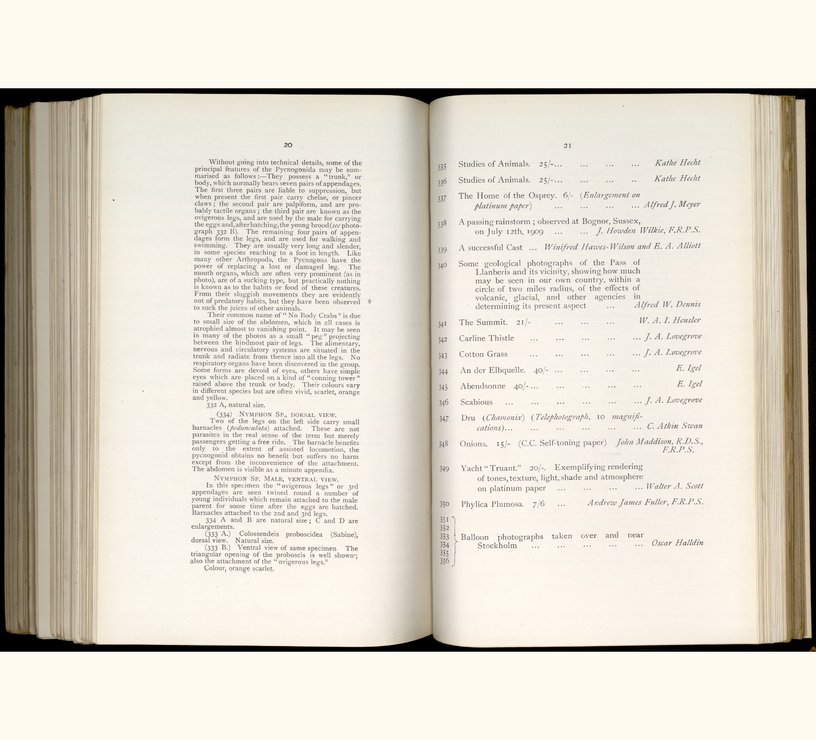 large scanned catalogue page