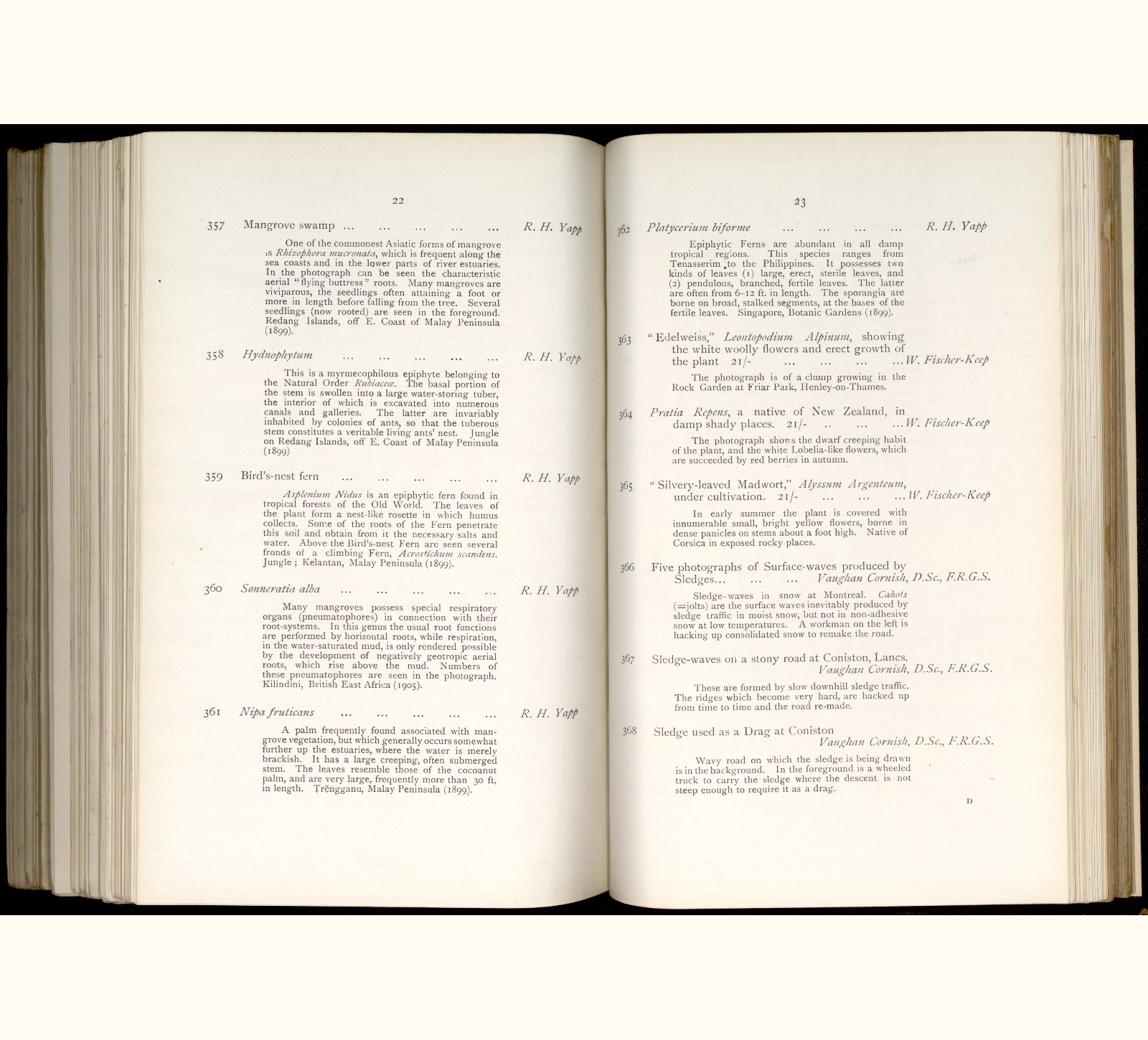 large scanned catalogue page