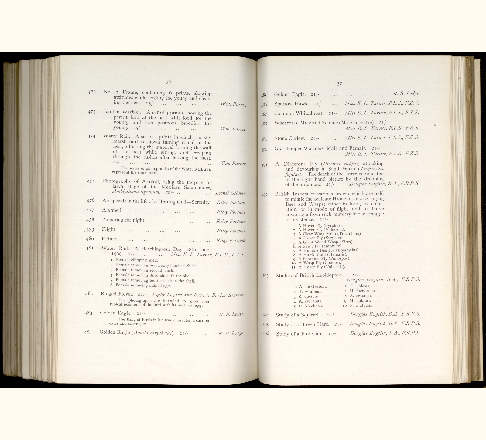 large scanned catalogue page