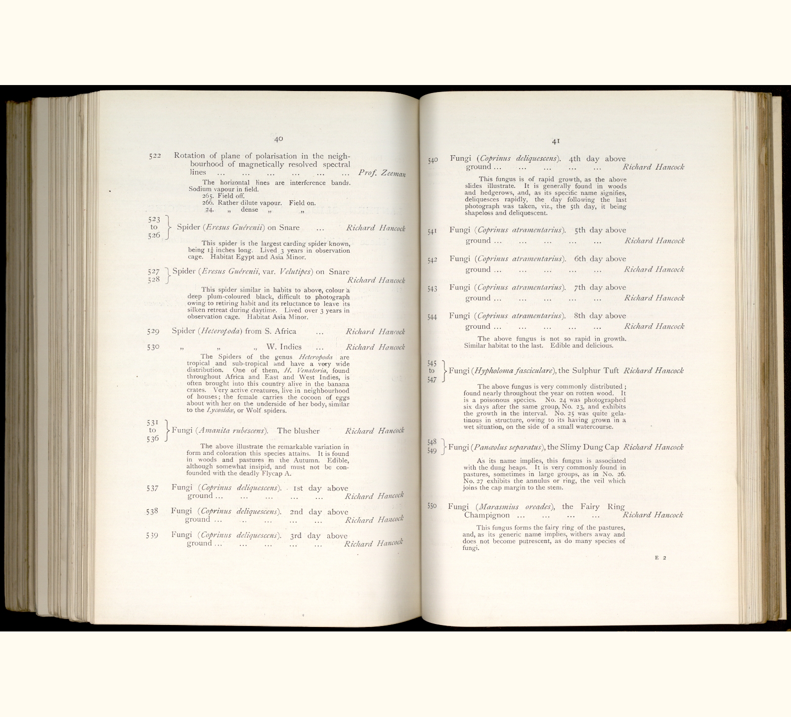 large scanned catalogue page