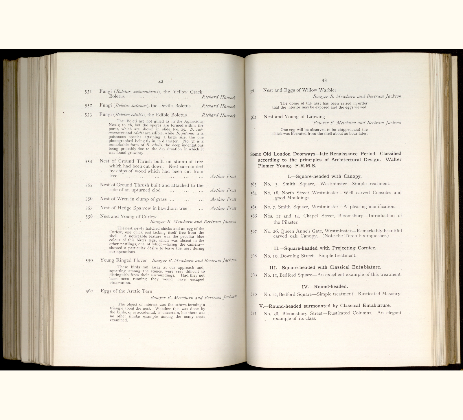 large scanned catalogue page