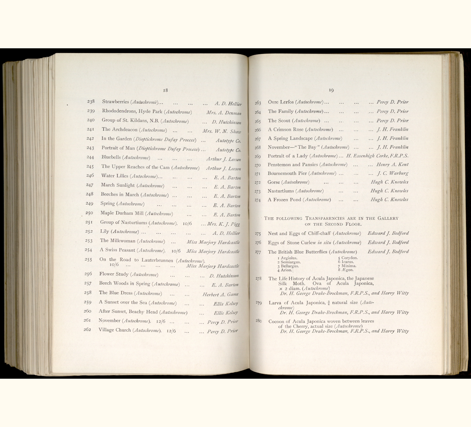 large scanned catalogue page