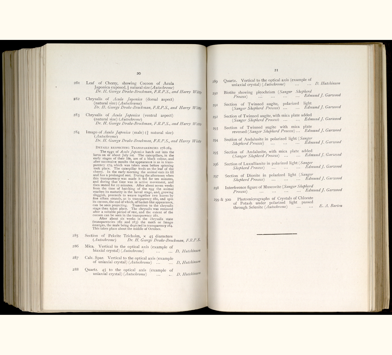 large scanned catalogue page