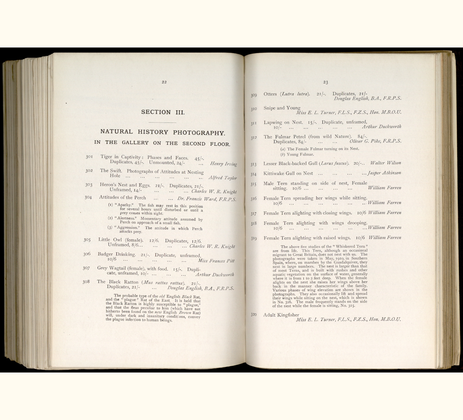 large scanned catalogue page