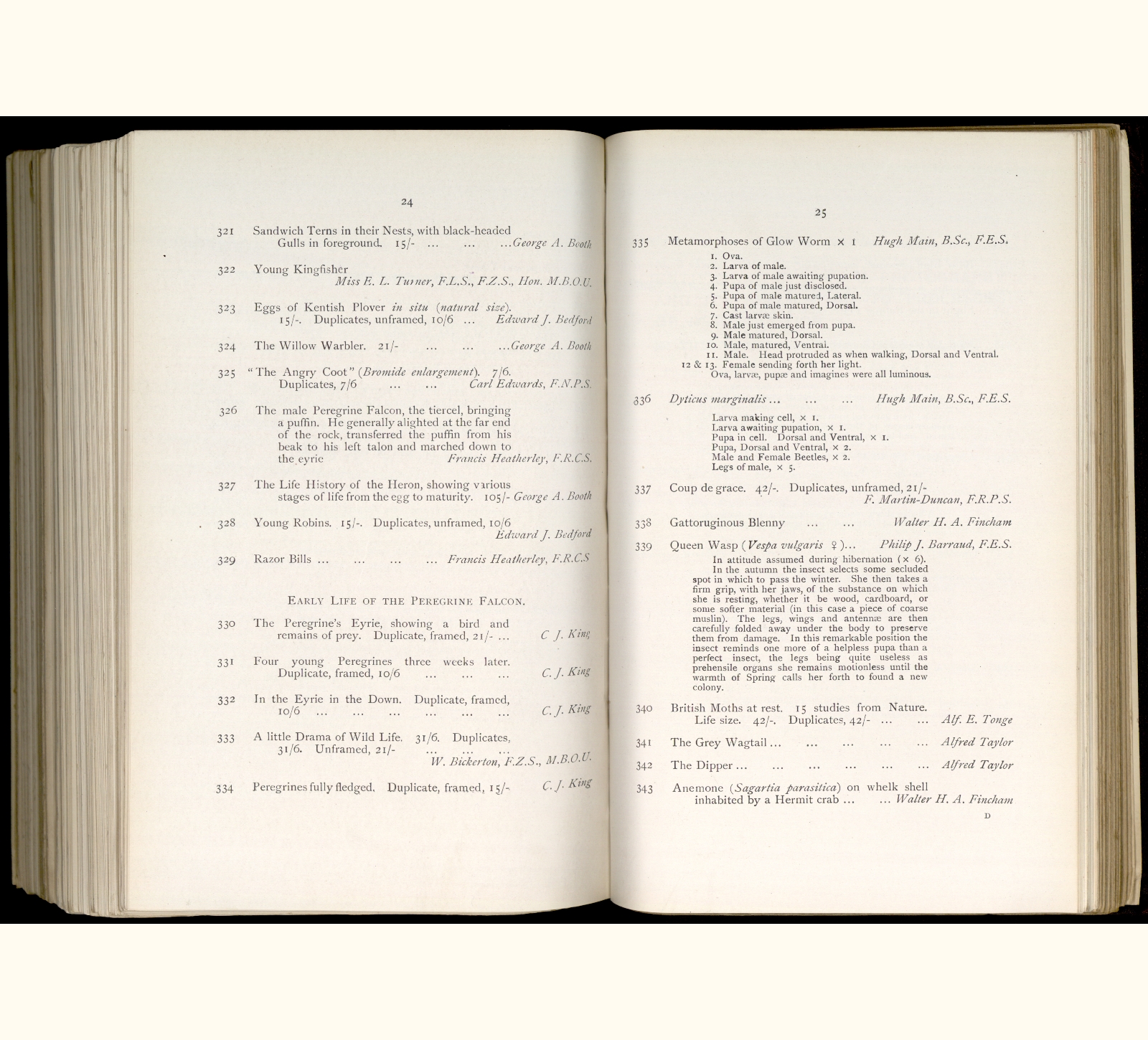 large scanned catalogue page