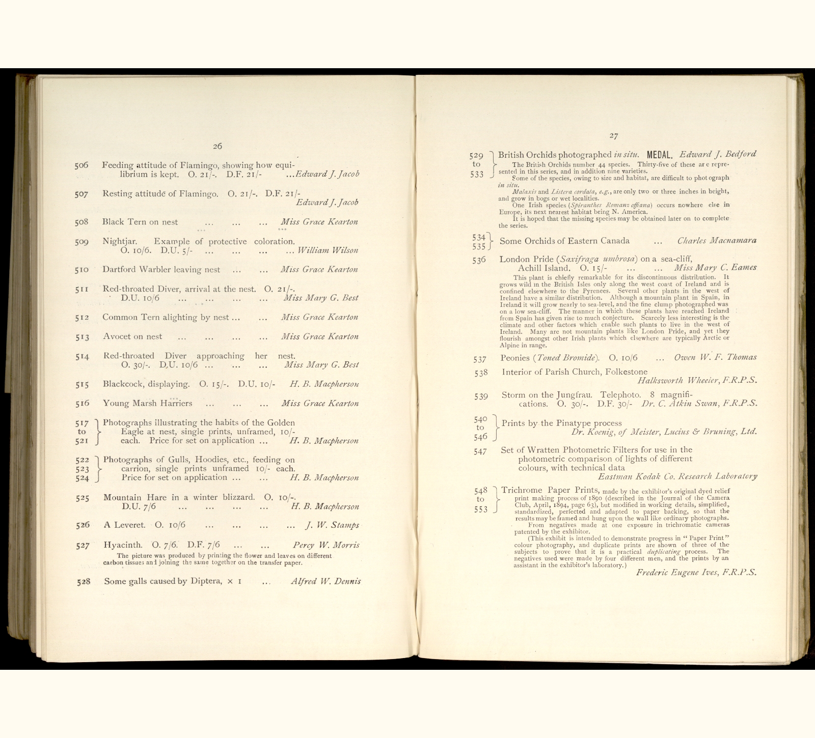 large scanned catalogue page