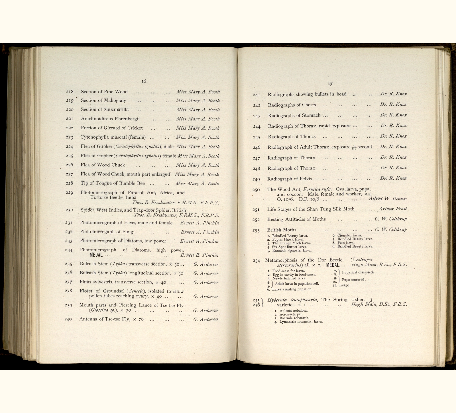large scanned catalogue page