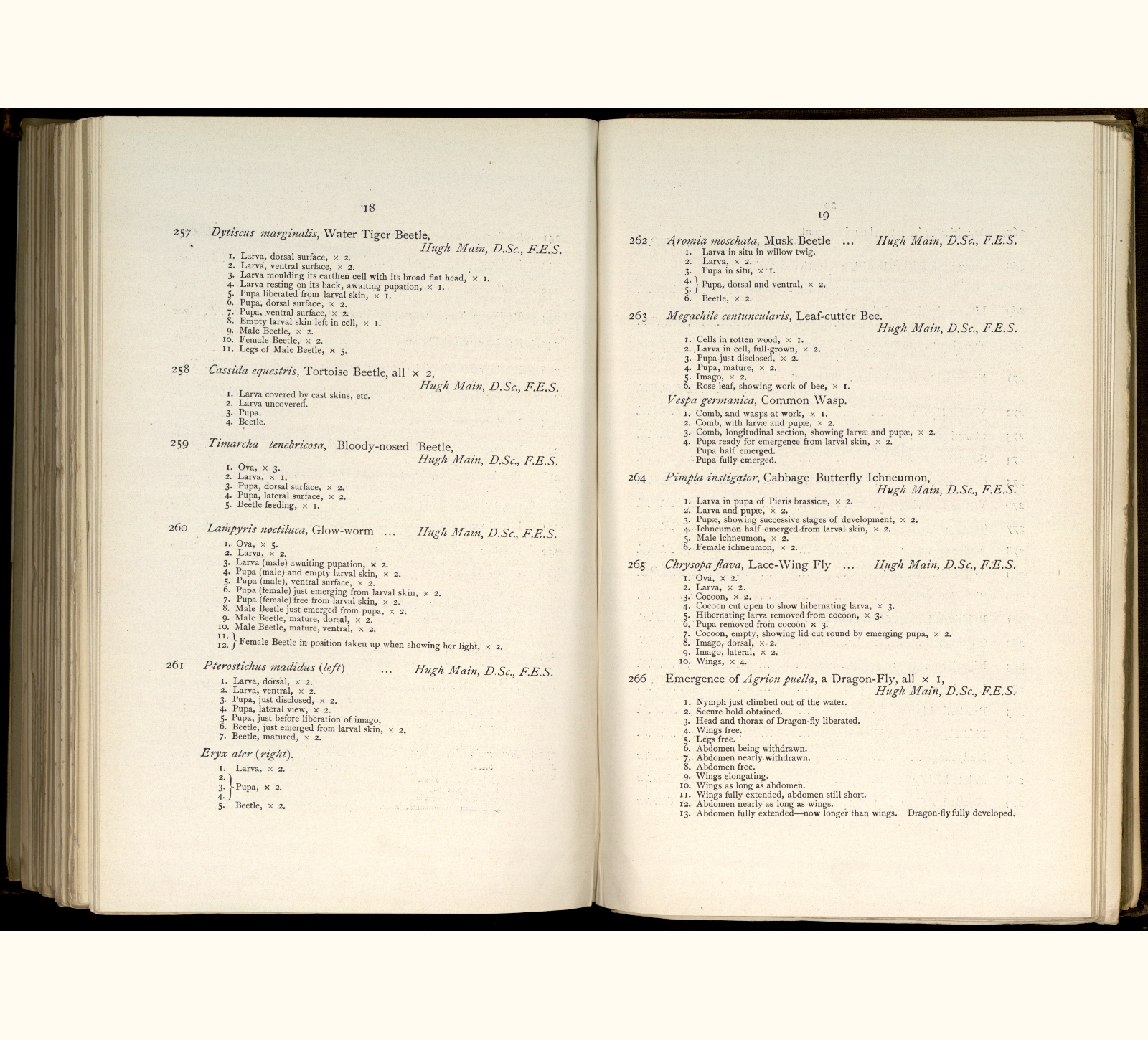 large scanned catalogue page