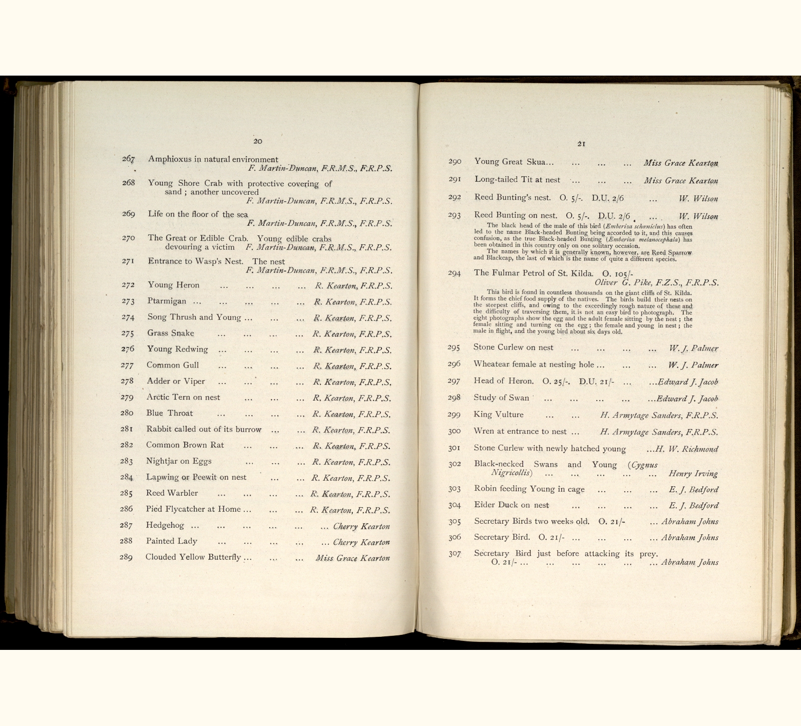 large scanned catalogue page