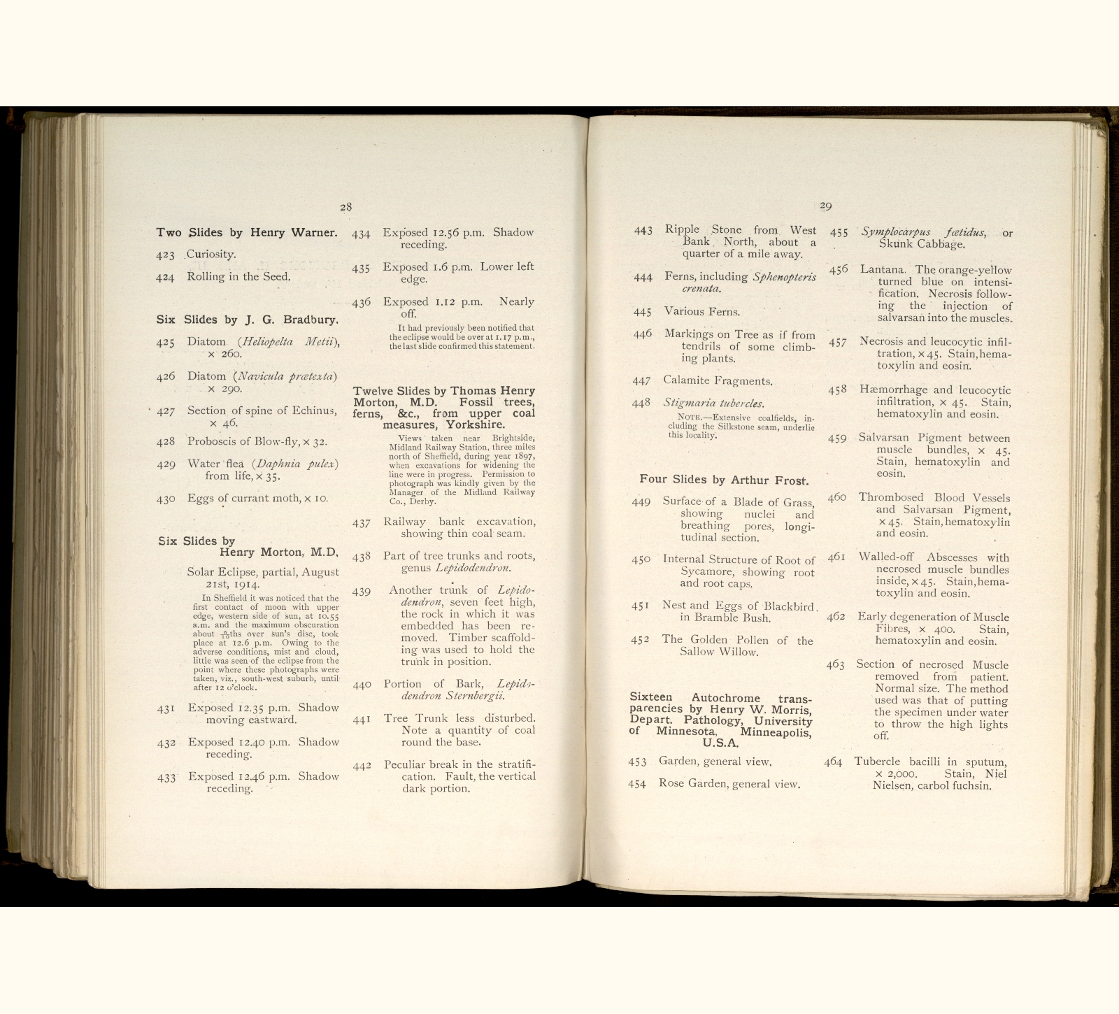 large scanned catalogue page